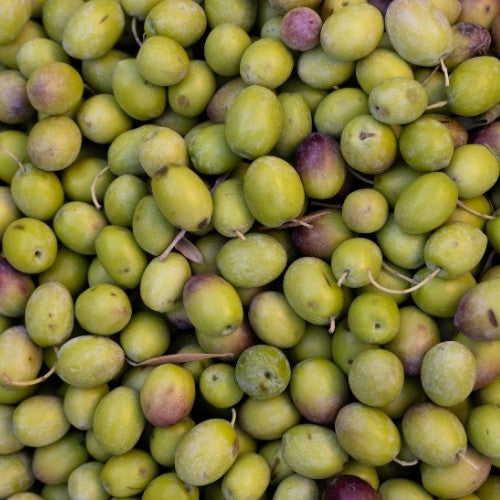Huile d’Olive