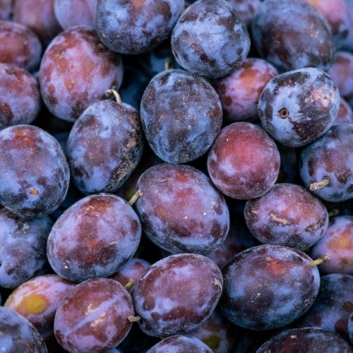 Huile de prune